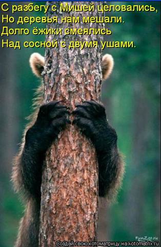 VFL.RU -  