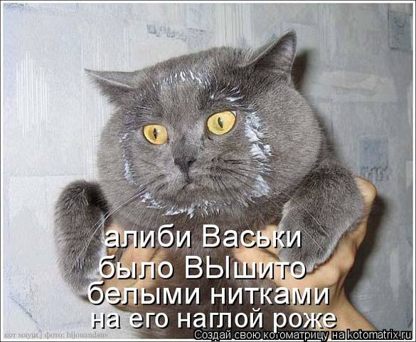 VFL.RU -  