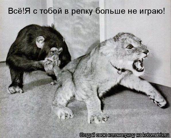 VFL.RU -  