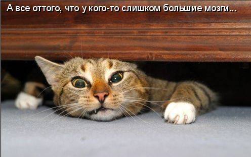 VFL.RU -  