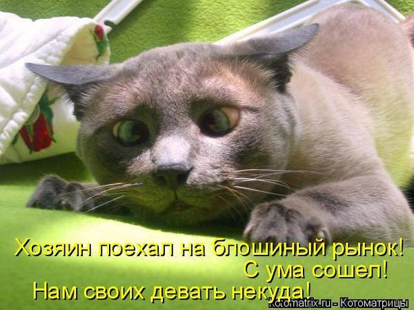 VFL.RU -  