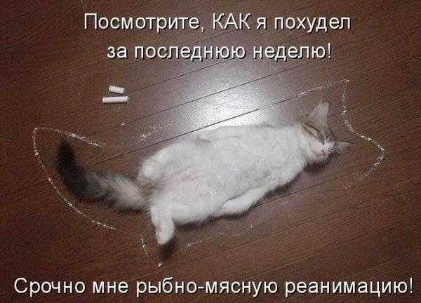 VFL.RU -  