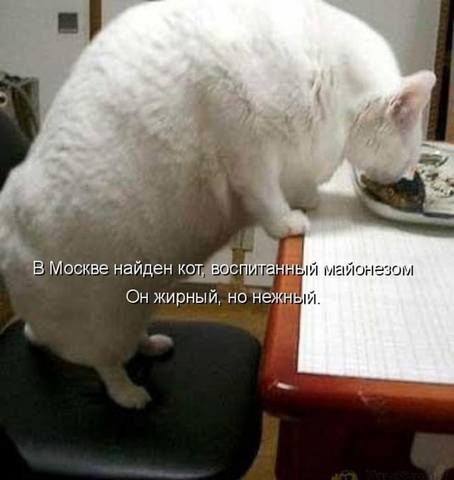 VFL.RU -  