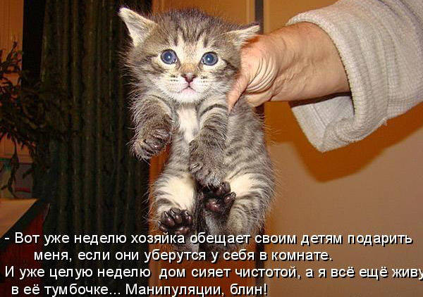 VFL.RU -  