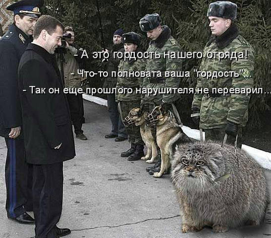 VFL.RU -  