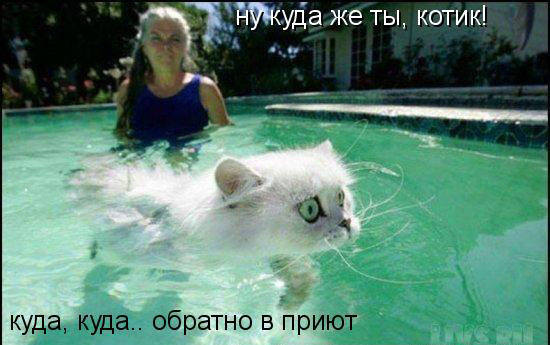 VFL.RU -  