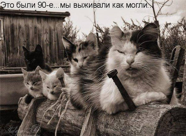 VFL.RU -  