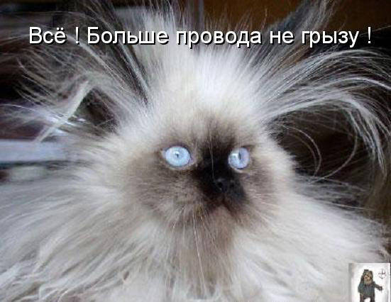 VFL.RU -  