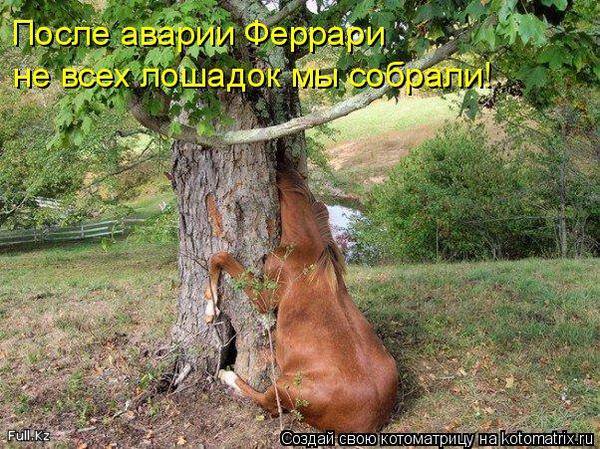VFL.RU -  