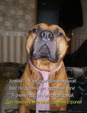 VFL.RU -  