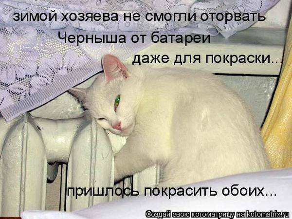VFL.RU -  