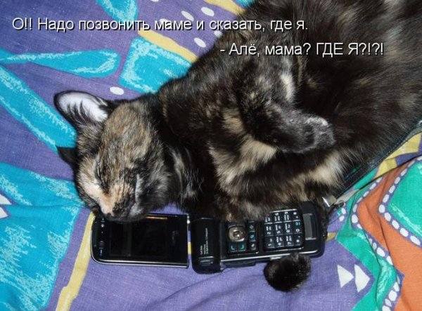 VFL.RU -  