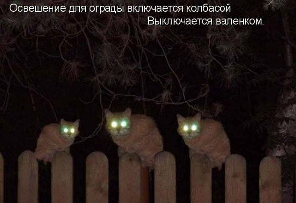 VFL.RU -  