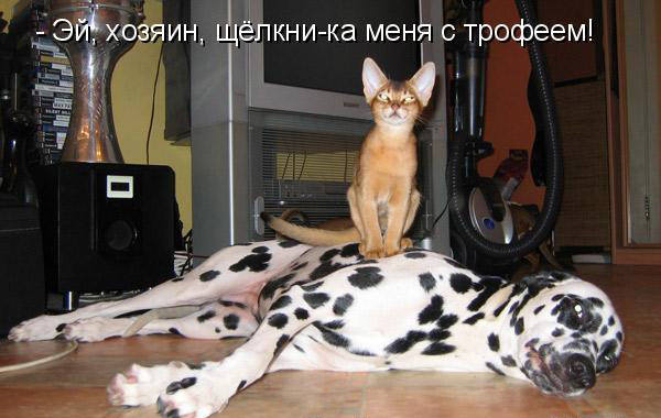 VFL.RU -  