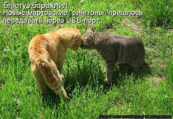 VFL.RU -  