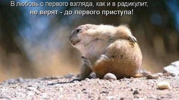 VFL.RU -  