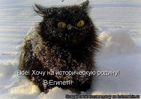 VFL.RU -  