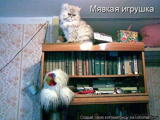 VFL.RU -  