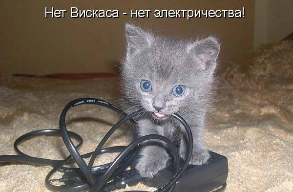 VFL.RU -  