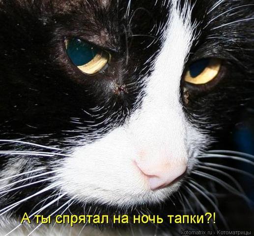 VFL.RU -  