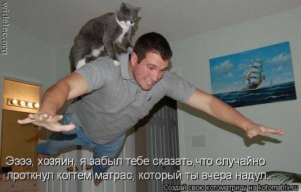 VFL.RU -  