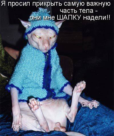 VFL.RU -  