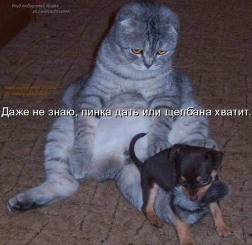 VFL.RU -  