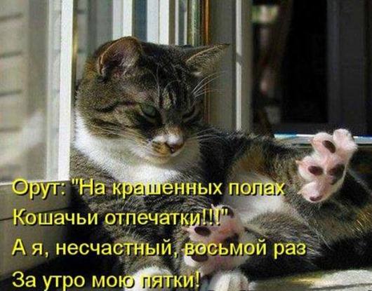 VFL.RU -  