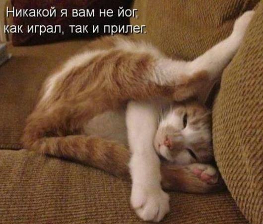 VFL.RU -  