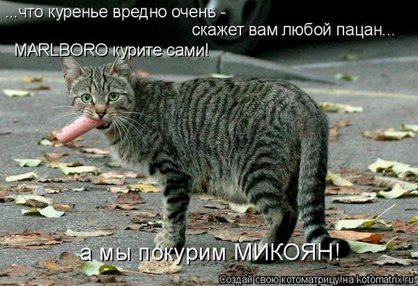 VFL.RU -  