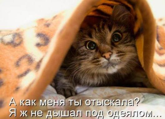 VFL.RU -  