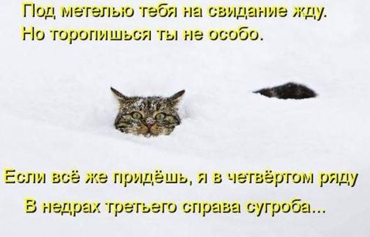 VFL.RU -  