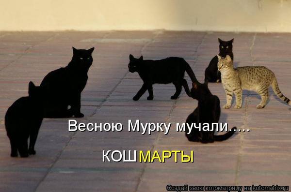 VFL.RU -  