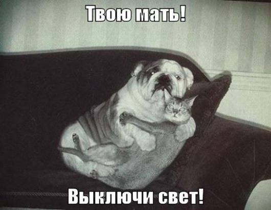VFL.RU -  