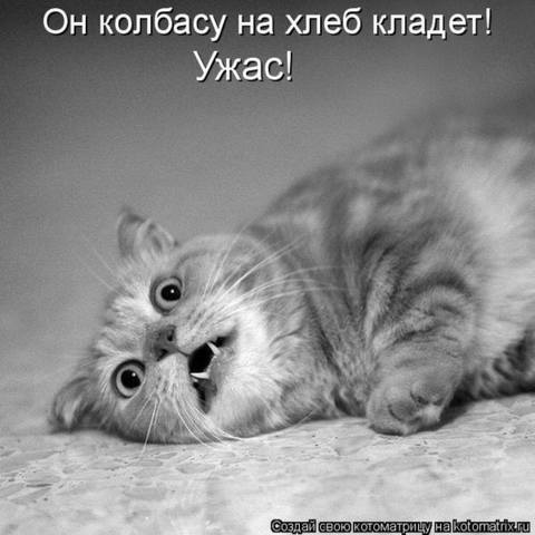 VFL.RU -  