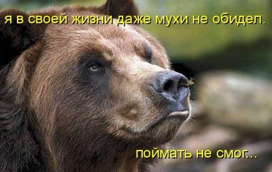 VFL.RU -  