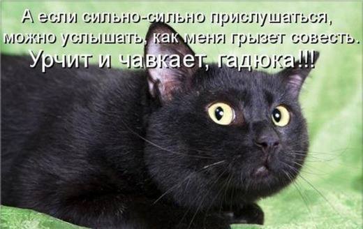 VFL.RU -  