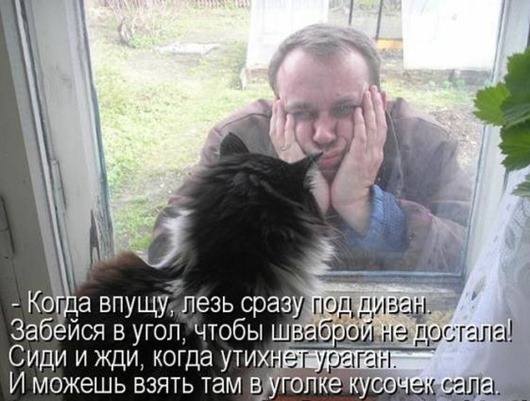 VFL.RU -  