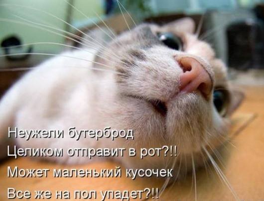 VFL.RU -  
