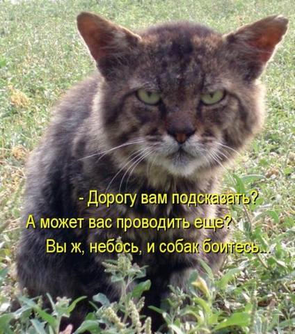 VFL.RU -  