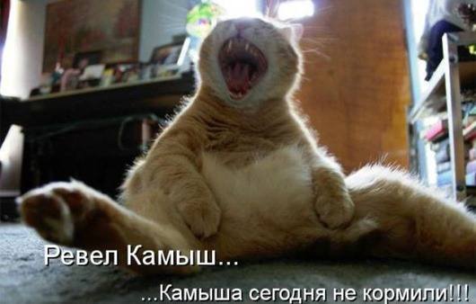VFL.RU -  