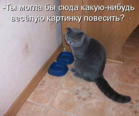 VFL.RU -  