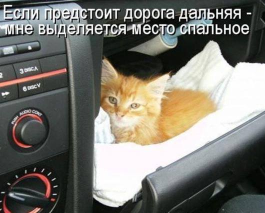 VFL.RU -  