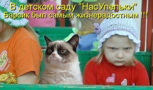 VFL.RU -  