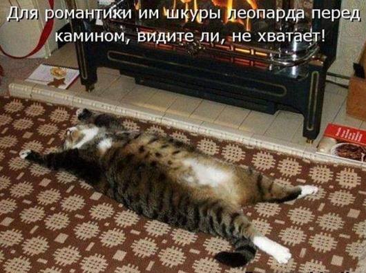VFL.RU -  