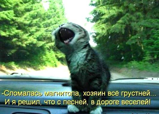 VFL.RU -  
