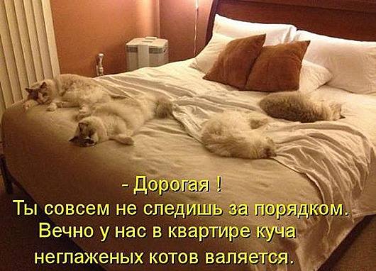 VFL.RU -  