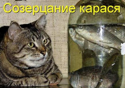 VFL.RU -  
