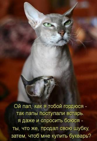 VFL.RU -  