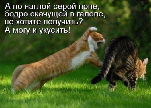 VFL.RU -  